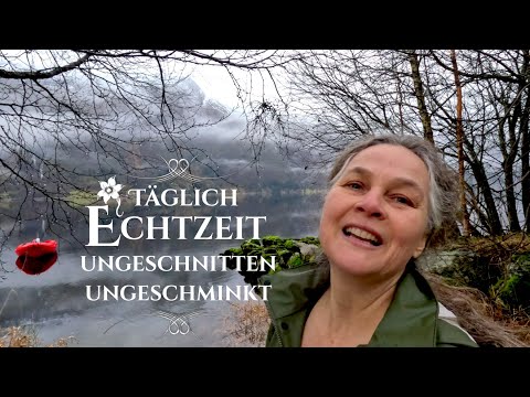 Echtzeit 🚣‍♀️Boot retten bei Hochwasser! Mit Hund Odin am See in den Bergen | TV Serie, wahres Leben