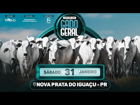 Leilão de Gado Geral, NOVA PRATA DO IGUAÇU/PR -31/01/2026 14:00h