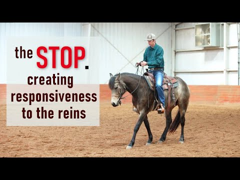 How to teach your horse to stop - Creating responsiveness to the reins.