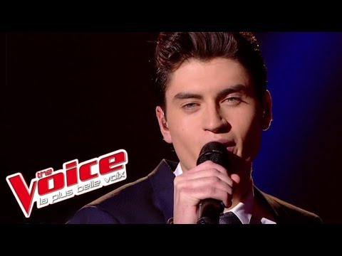 Avicii – Wake Me Up | David Thibault | The Voice France 2015 | Prime 1