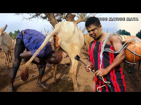 The Remarkable Mundari Tribe Of South Sudan Showers with Cow Urine?