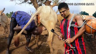 The Remarkable Mundari Tribe Of South Sudan Shower