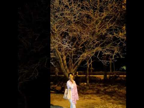 B.N MEMORIES ( Lakhwinder Wadali  )