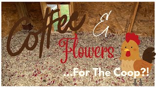 Coffee And Flowers For The Chicken Coop!
