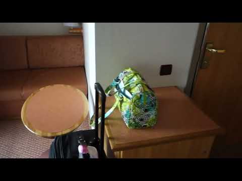 Carnival Luminosa Accessible Cabin 8290