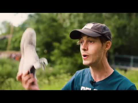 Dekmantel Festival 2017 - Gabriel Szatan Interview