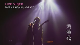 Download lagu きゃない - 紫陽花【2022.4.8 東京大阪二股編@ Spotify O-EAST】 mp3