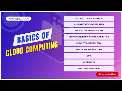 What are the Basics of Networking | Network Types | Networking Models | InfosecTrain