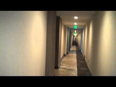 Enso Apartments in Atlanta - Even Our Hallways are ECO!