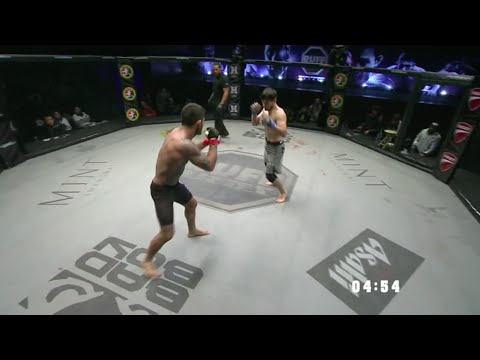 MMA Client Case Study