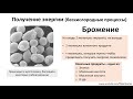 5. АТФ и энергетика (9 или 10-11 класс) - биология, подготовка к ЕГЭ и ОГЭ 2020