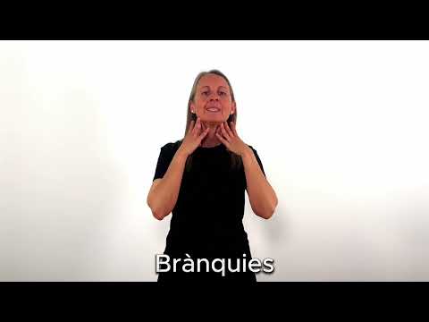 Brànquies - LSC