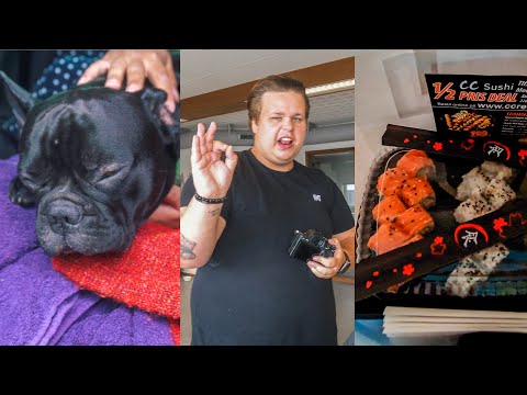 MAX TIL DYRLÆGE, TESTER NYT KAMERA OG MASSER AF SUSHI | 24 TIMER MED MIG