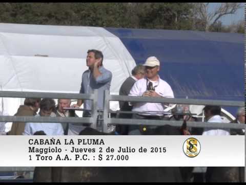 02-07-15 Venta de Toros P.C. - Cabaña La Pluma de Firpo - Maggiolo.