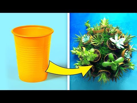 28 MẸO THỦ CÔNG TRANG TRÍ CÂY CẢNH