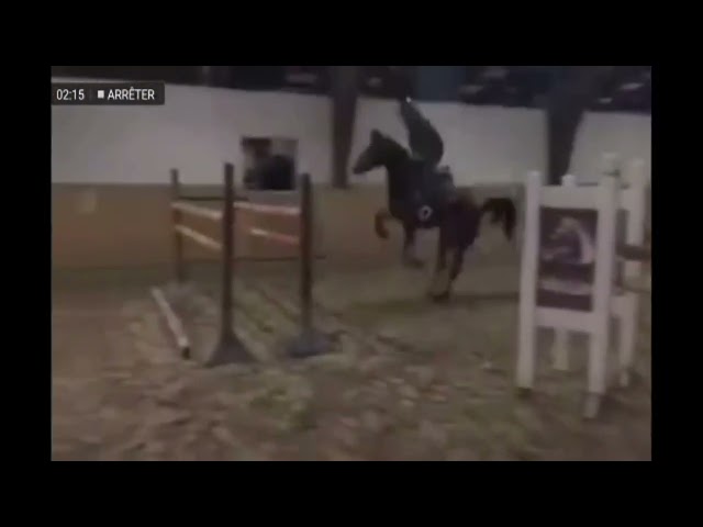 Super ponette