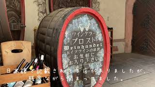 【Vlog to Frankfurt vol.3】フランクフルト編第3話です