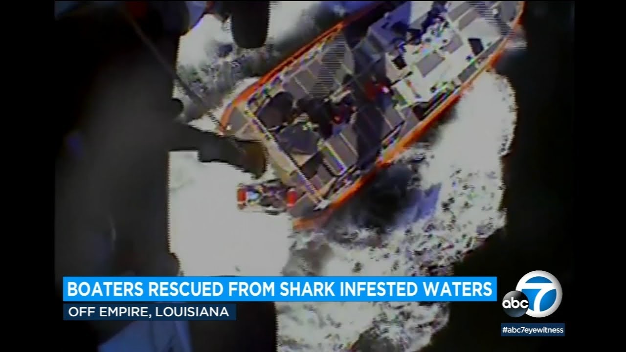 Boaters rescued from shark-infested waters off Louisiana coast
