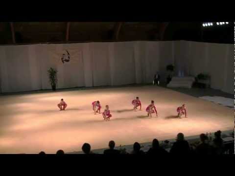 Fimleikafelagið Ljósið - Smágentur 2010/2011 (FM)