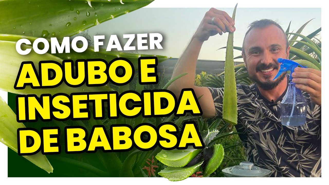 Como fazer um adubo e inseticida caseiro com babosa | Elimine as pragas do seu jardim