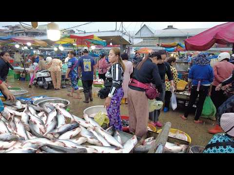 Cambodia Fish Market 2026 | Best Street Seafood & Local Life