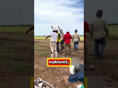 Něco Se Doplazilo Do Této Trubky… 🐍😳