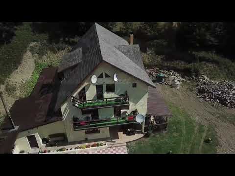 Pensiunea Alma - Lepșa