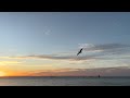 The New Raemon - Frente A La Bahía (Lyric Vídeo Oficial)