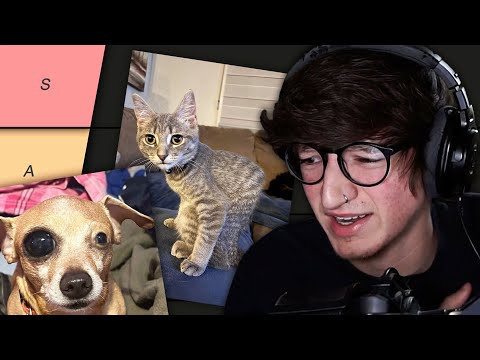 Viewer Pet Tier List