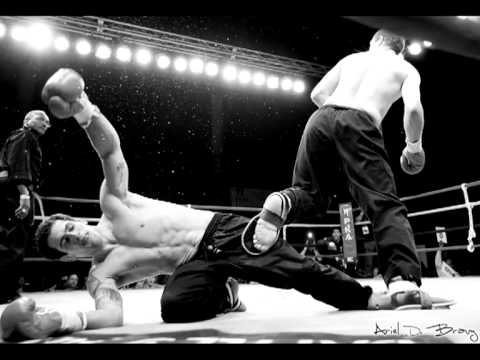 Pappa-Goore-Fülke Diss