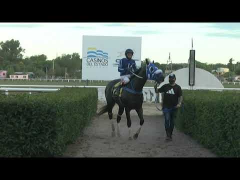 210401 c10 - 1° IMPRESSIVE GIFT (BRZ) - CARRERAS SINT PAYSANDU