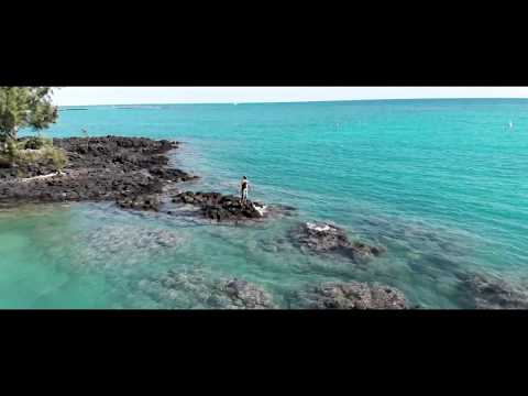 ZEFENOMEN - de la haut - 2018