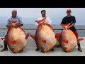 Big Fishes of the World: Lucky anglers catch THREE ...