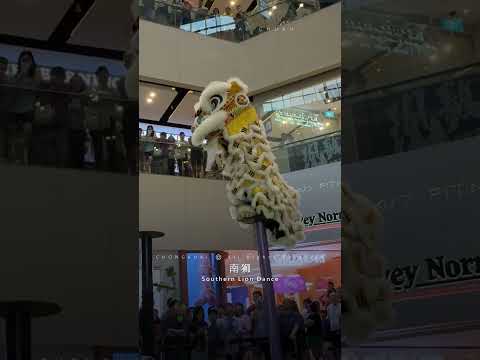 2025 Seletar Mall SG MSIA 1st Acrobatic Southern Lion Dance Championship | 利达广场 首屆 新马 南狮 高桩 錦標賽