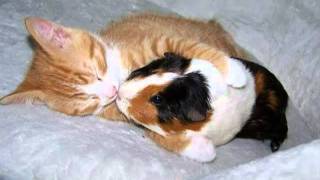 Fantomas - Der Golem (8-bit)