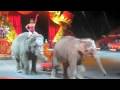 Ringling Bros