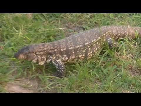 ¡¡Video número 3 000!! Esperanza Santa Fe Argentina 2025