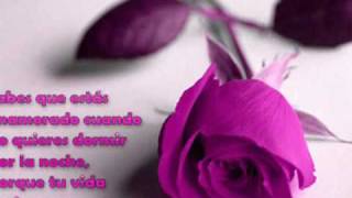 VOLVERE A CONQUISTARTE_______LOS YONIC´S.wmv