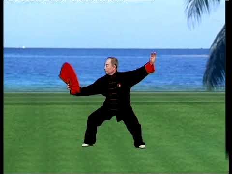 太極功夫扇 I part B  Tai Chi Taiji Kung Fu Fan tutorial with English sub