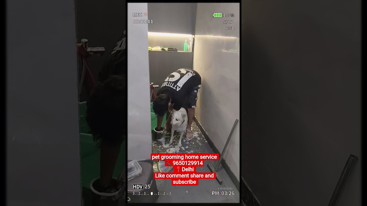 home service available #grooming