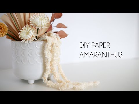 DIY Paper Amaranthus (tissue paper, paper flower, crafts)