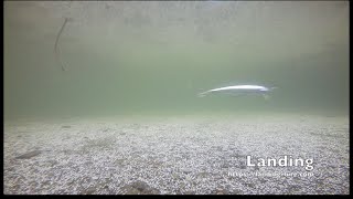 Воблеры hmkl k-1 minnow 85 sp