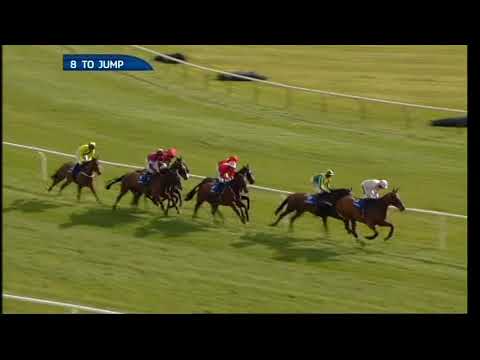 2013 Neptune Investment Management Novices' Hurdle - Cheltenham Festival