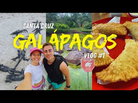 GALÁPAGOS🦎🏝️ El viaje que nos cambió la vida para siempre ✨🐢 (Vlog#1 Santa Cruz)