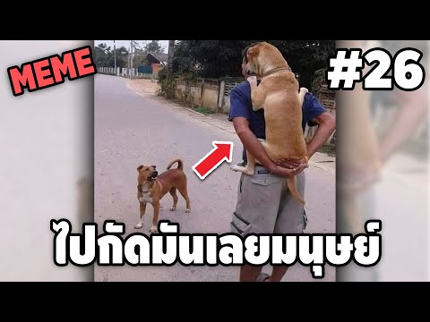 ภาพนี้ก็ฮาเหมือนกันนะเนี้ย #26 SS9 [ พากย์นรก MEME.EXE ] | easy boy