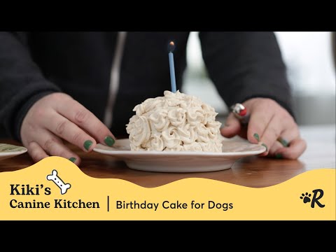 Easy Homemade Dog Birthday Cake Recipe | Rover Pet Care Tutorial