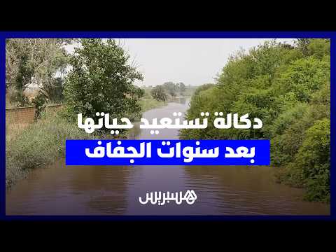 عودة السقي.. فرحة الفلاحين بدكالة 
