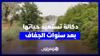 بعد سنوات من الإكراهات المائية.. عودة السقي تعيد الحياة لأراضي دكالة thumbnail