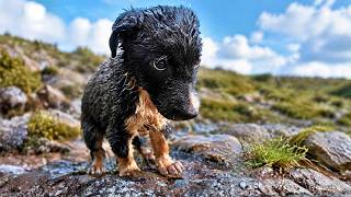 Someone Abandoned Her By The Lake