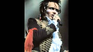 Adam &amp; The Ants - Never Trust A Man (With Egg On His Face) - 1979 Peel Session